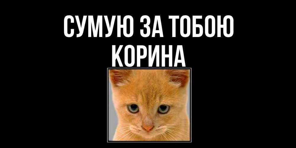 Открытка на каждый день з підписом, Корина Сумую за тобою открытки рыжий котенок скучает по тебе Прикольна листівка з побажанням онлайн скачати безкоштовно 
