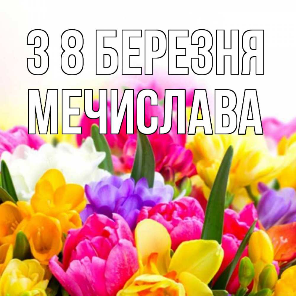 Открытка на каждый день з підписом, Мечислава З 8 БЕРЕЗНЯ тюльпаны Прикольна листівка з побажанням онлайн скачати безкоштовно 