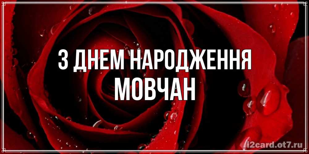 Открытка на каждый день з підписом, Мовчан З Днем народження крупная бордовая роза Прикольна листівка з побажанням онлайн скачати безкоштовно 