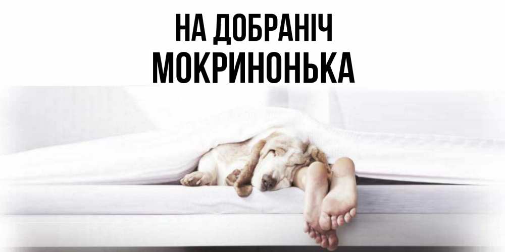 Открытка на каждый день з підписом, Мокринонька На добраніч кровать с собакой пожелание сладких снов и спокойной ночи Прикольна листівка з побажанням онлайн скачати безкоштовно 