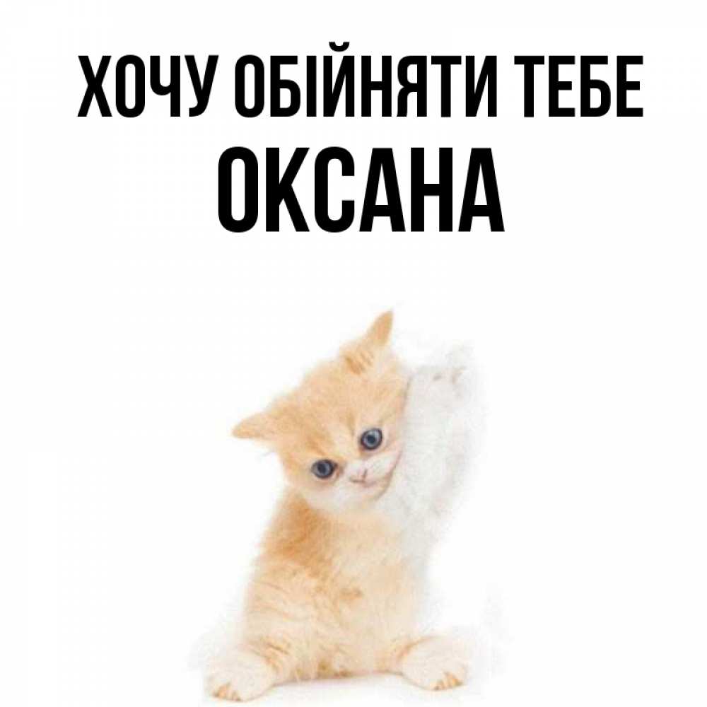 Открытка на каждый день з підписом, Оксана Хочу обійняти тебе я хочу очень скорее обнимаешек Прикольна листівка з побажанням онлайн скачати безкоштовно 
