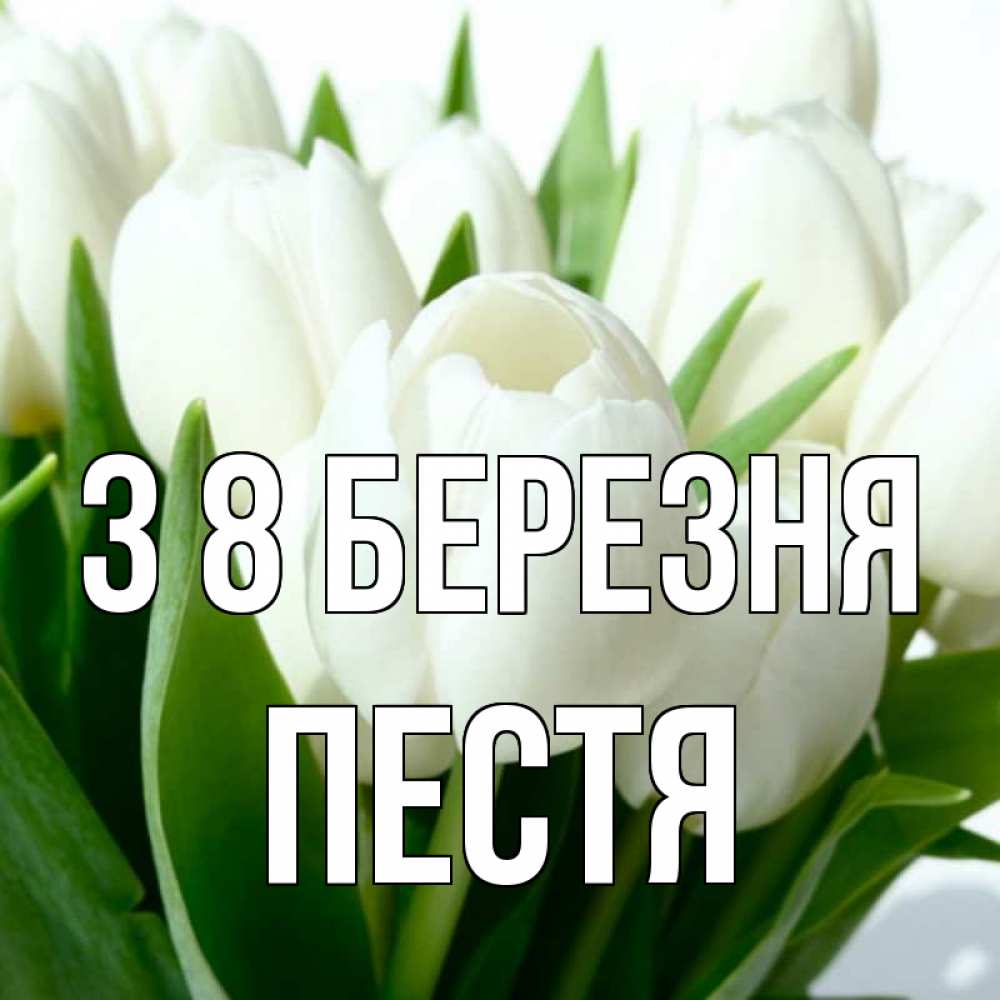 Открытка на каждый день з підписом, Пестя З 8 БЕРЕЗНЯ цветы Прикольна листівка з побажанням онлайн скачати безкоштовно 