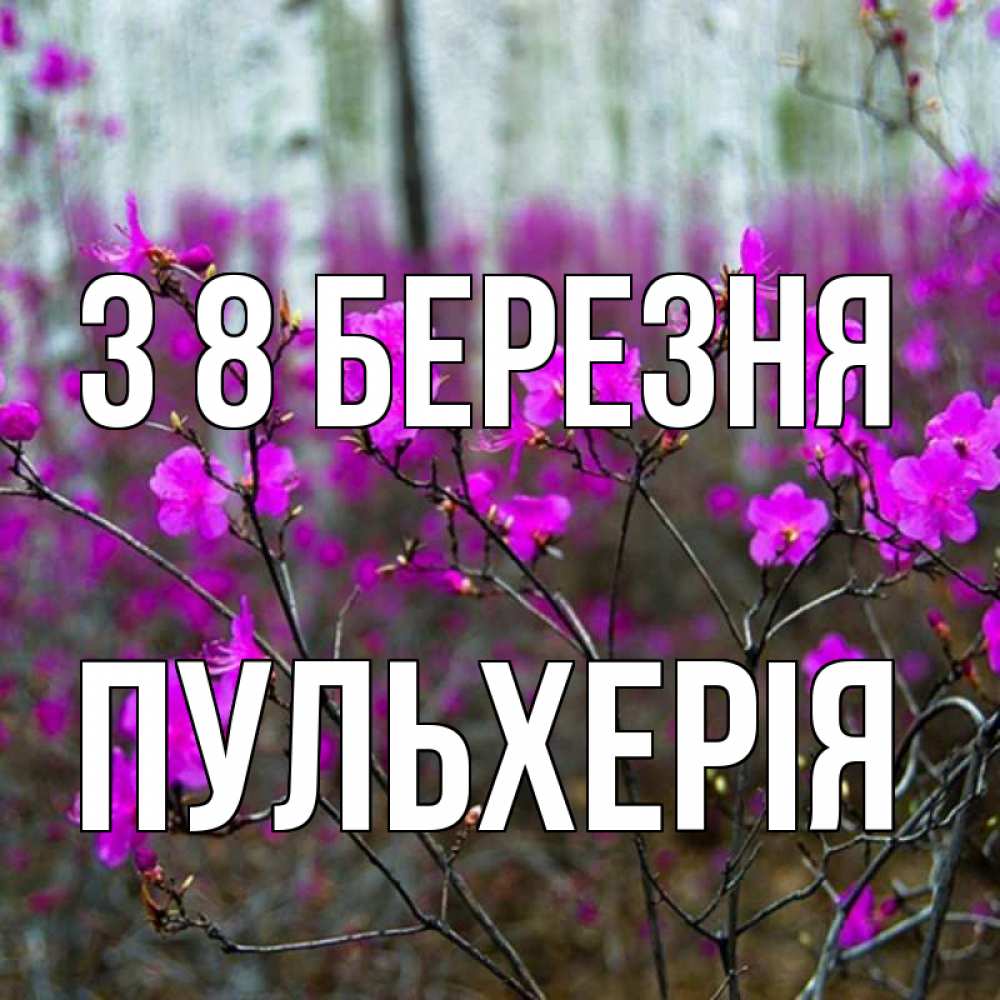 Открытка на каждый день з підписом, Пульхерія З 8 БЕРЕЗНЯ дикие цветы Прикольна листівка з побажанням онлайн скачати безкоштовно 