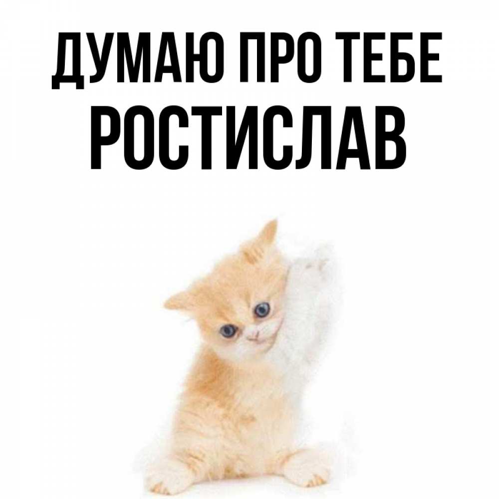 Открытка на каждый день з підписом, Ростислав Думаю про тебе зверушки и милота Прикольна листівка з побажанням онлайн скачати безкоштовно 