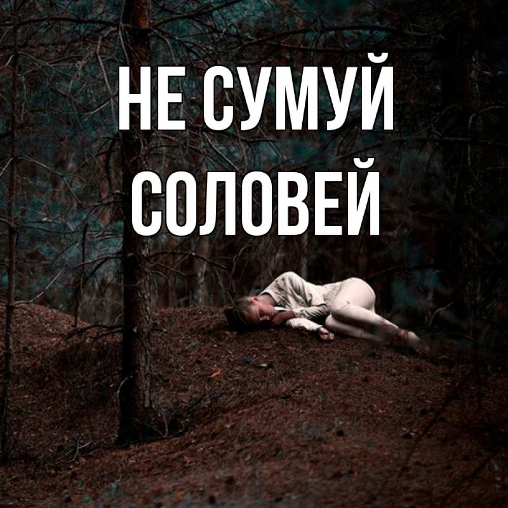 Открытка на каждый день з підписом, Соловей Не сумуй лес Прикольна листівка з побажанням онлайн скачати безкоштовно 