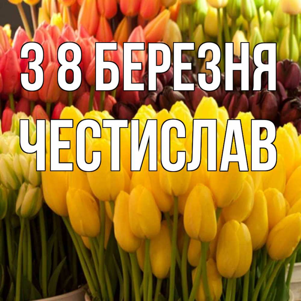 Открытка на каждый день з підписом, Честислав З 8 БЕРЕЗНЯ цветы Прикольна листівка з побажанням онлайн скачати безкоштовно 