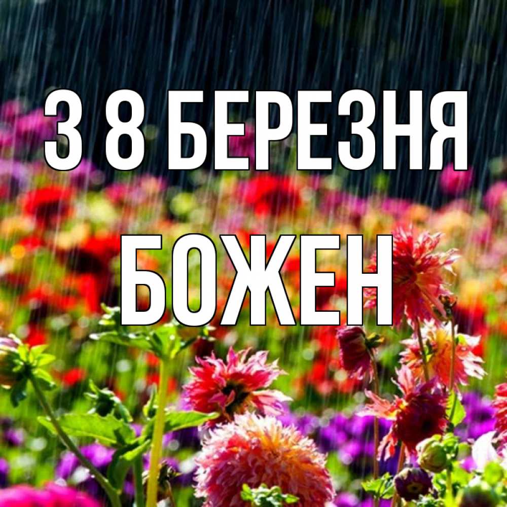 Открытка на каждый день з підписом, Божен З 8 БЕРЕЗНЯ цветы под дождиком к международному женскому дню Прикольна листівка з побажанням онлайн скачати безкоштовно 