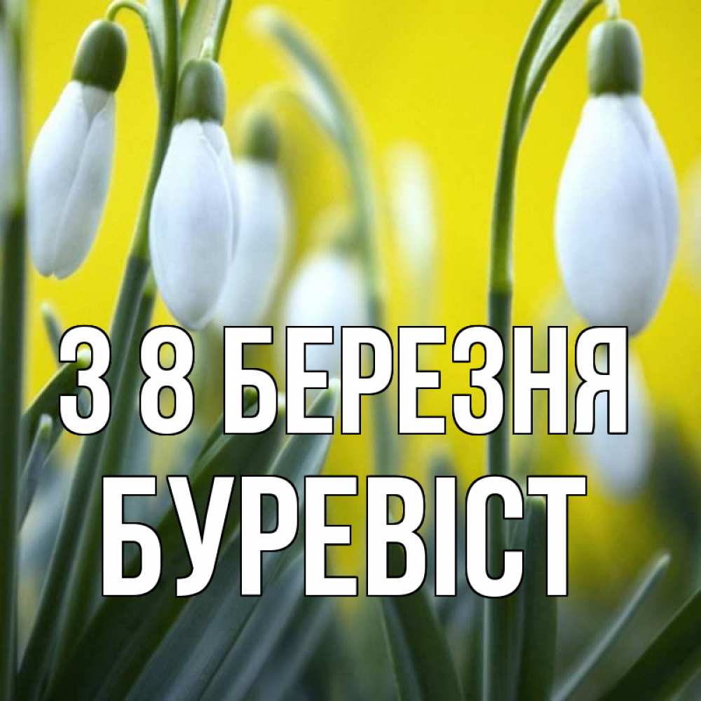 Открытка на каждый день з підписом, Буревіст З 8 БЕРЕЗНЯ весенние цветы Прикольна листівка з побажанням онлайн скачати безкоштовно 