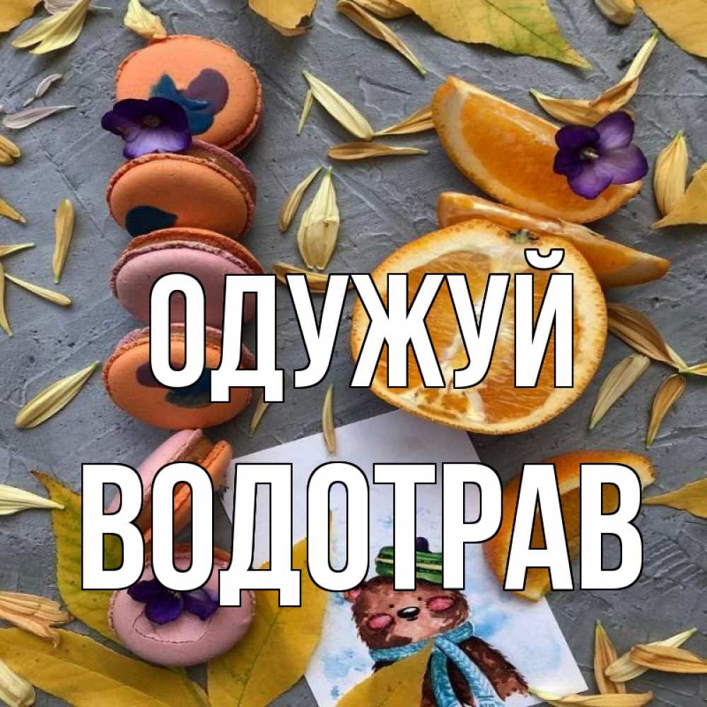 Открытка на каждый день з підписом, Водотрав Одужуй не болейте Прикольна листівка з побажанням онлайн скачати безкоштовно 
