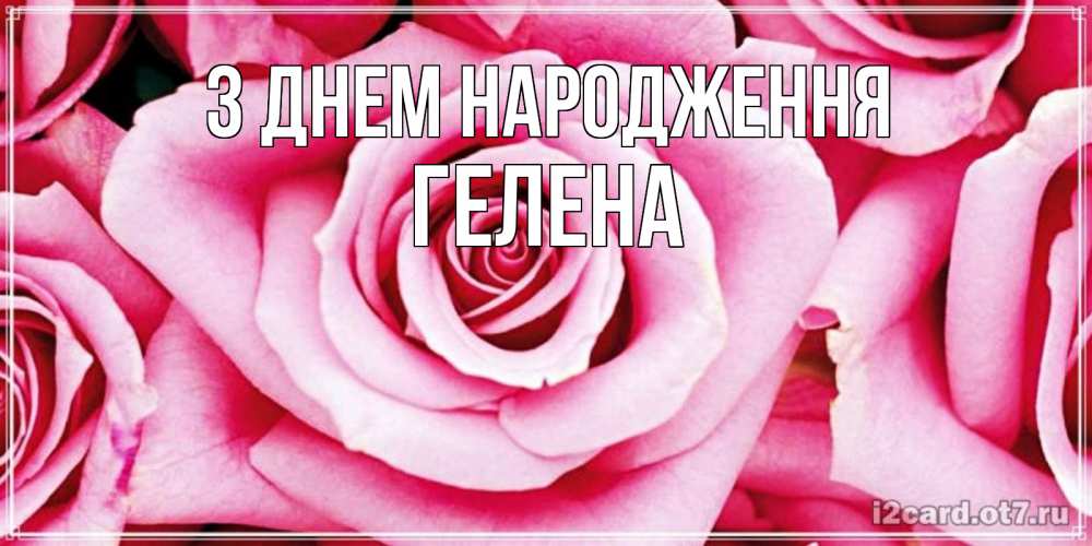 Открытка на каждый день з підписом, Гелена З Днем народження открытка с розовой розой на день рождения Прикольна листівка з побажанням онлайн скачати безкоштовно 