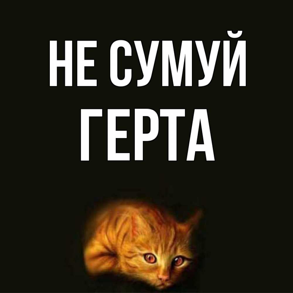 Открытка на каждый день з підписом, Герта Не сумуй лежащий кот в темноте Прикольна листівка з побажанням онлайн скачати безкоштовно 