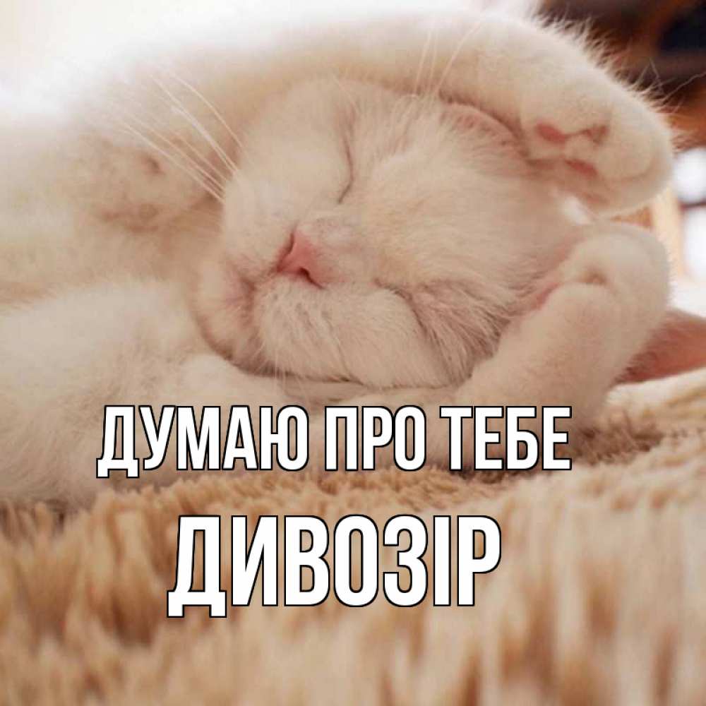 Открытка на каждый день з підписом, Дивозір Думаю про тебе для любимой девушки милота Прикольна листівка з побажанням онлайн скачати безкоштовно 
