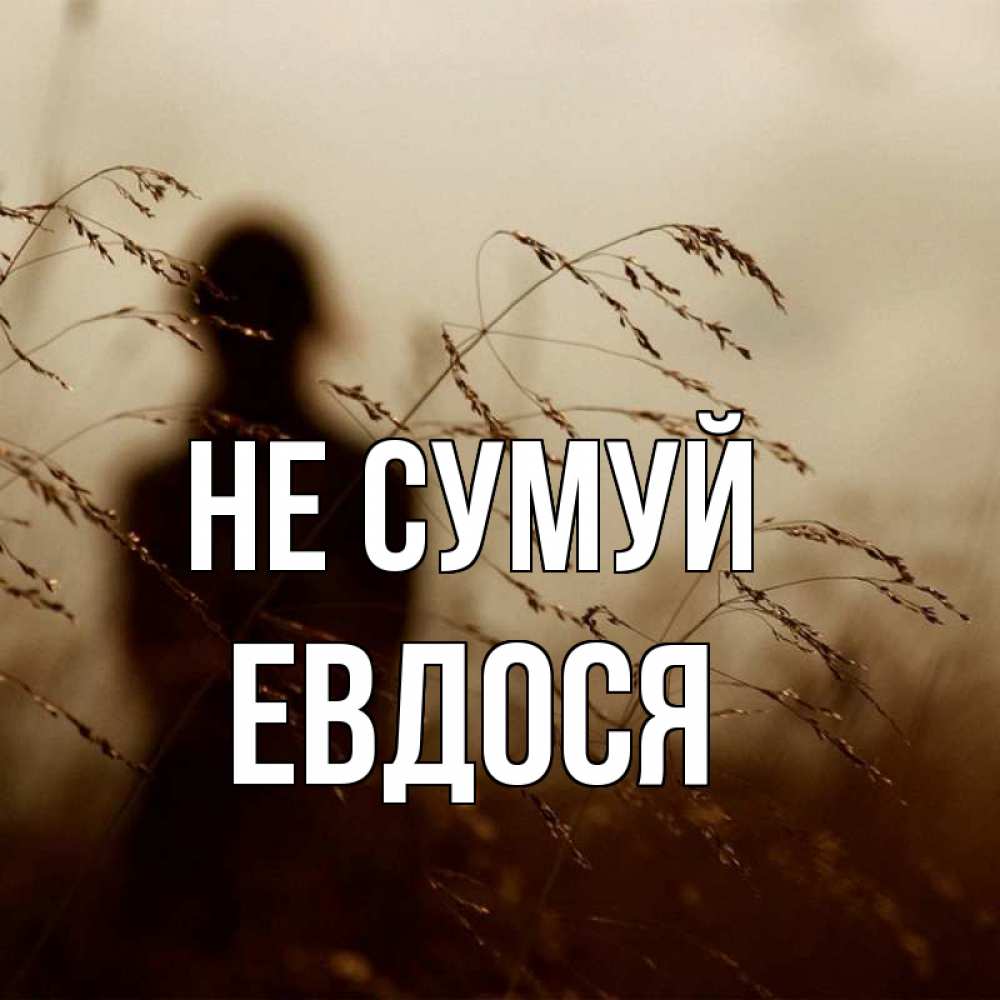 Открытка на каждый день з підписом, Евдося Не сумуй грусть Прикольна листівка з побажанням онлайн скачати безкоштовно 