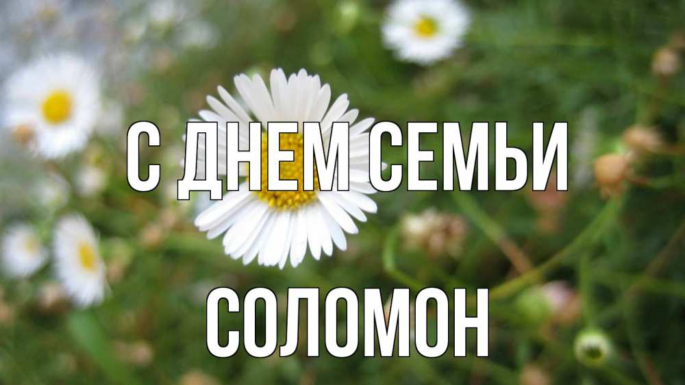 Открытка на каждый день з підписом, Соломон С днем семьи с днем семьи Прикольна листівка з побажанням онлайн скачати безкоштовно 