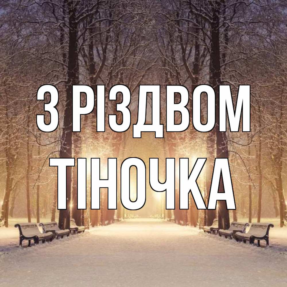 Открытка на каждый день з підписом, Тіночка З Різдвом зима, парк, фонарь, лес Прикольна листівка з побажанням онлайн скачати безкоштовно 
