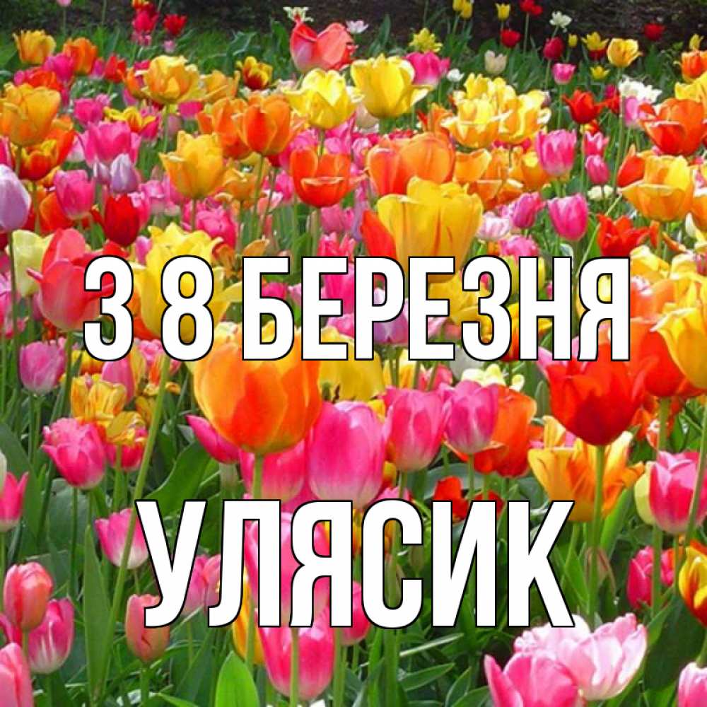 Открытка на каждый день з підписом, Улясик З 8 БЕРЕЗНЯ на международный женский день Прикольна листівка з побажанням онлайн скачати безкоштовно 