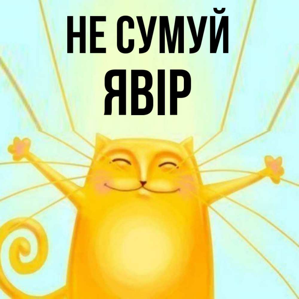 Открытка на каждый день з підписом, Явір Не сумуй обнимашки усатые Прикольна листівка з побажанням онлайн скачати безкоштовно 
