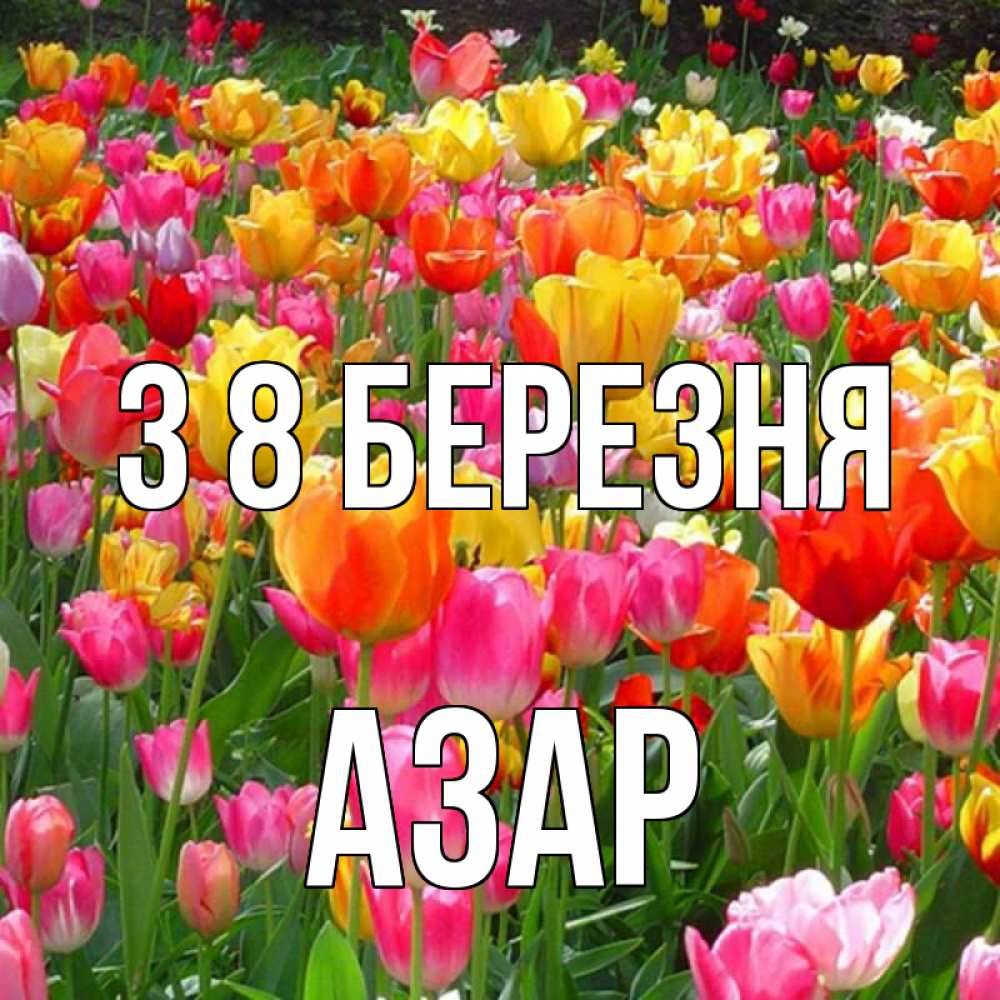 Открытка на каждый день з підписом, Азар З 8 БЕРЕЗНЯ на международный женский день Прикольна листівка з побажанням онлайн скачати безкоштовно 