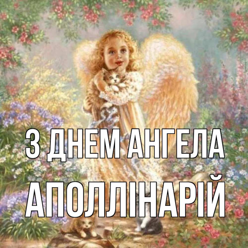 Открытка на каждый день з підписом, Аполлінарій З Днем ангела держит котенка Прикольна листівка з побажанням онлайн скачати безкоштовно 