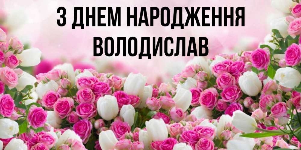 Открытка на каждый день з підписом, Володислав З Днем народження открытка с разными розами Прикольна листівка з побажанням онлайн скачати безкоштовно 