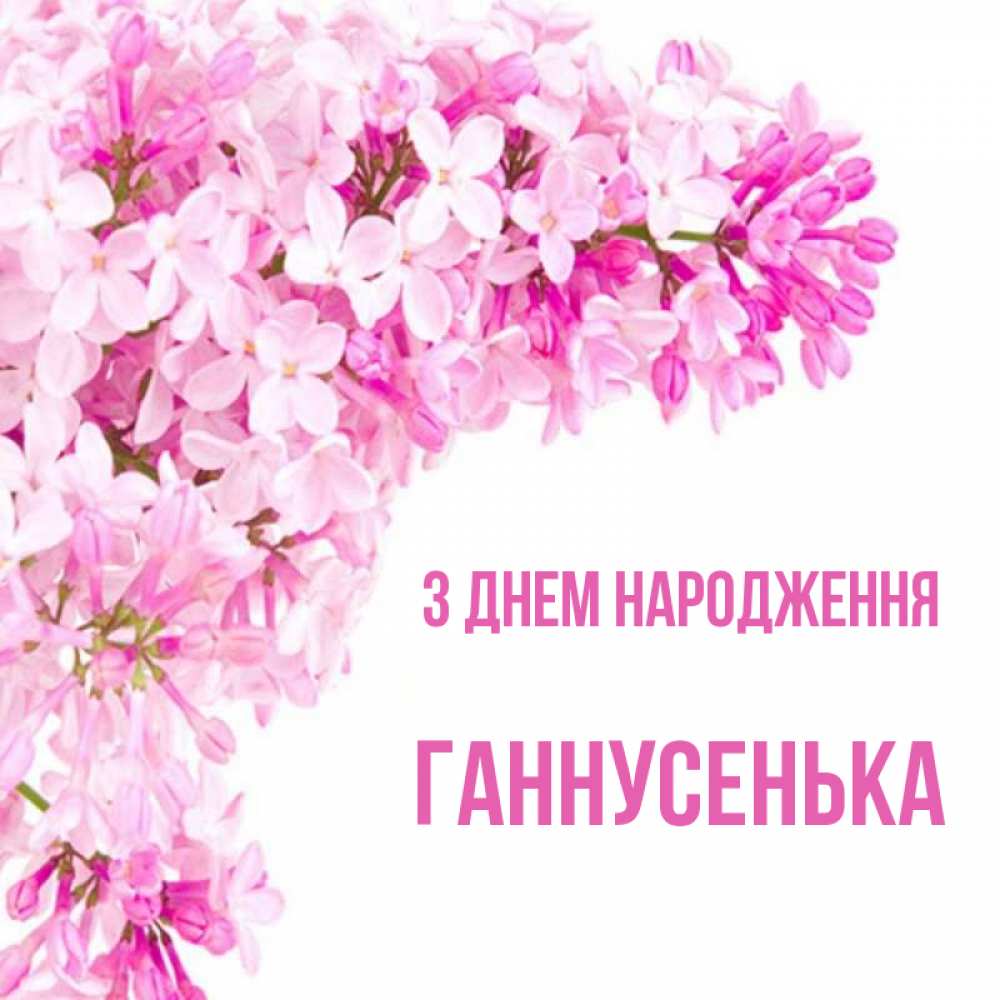 Открытка на каждый день з підписом, Ганнусенька З Днем народження Сирень на белом фоне Прикольна листівка з побажанням онлайн скачати безкоштовно 