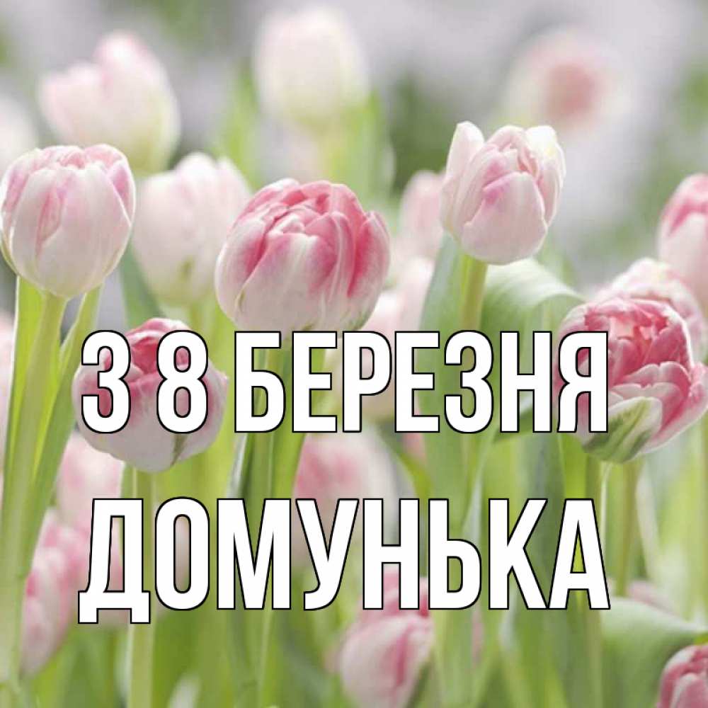 Открытка на каждый день з підписом, Домунька З 8 БЕРЕЗНЯ цветы Прикольна листівка з побажанням онлайн скачати безкоштовно 
