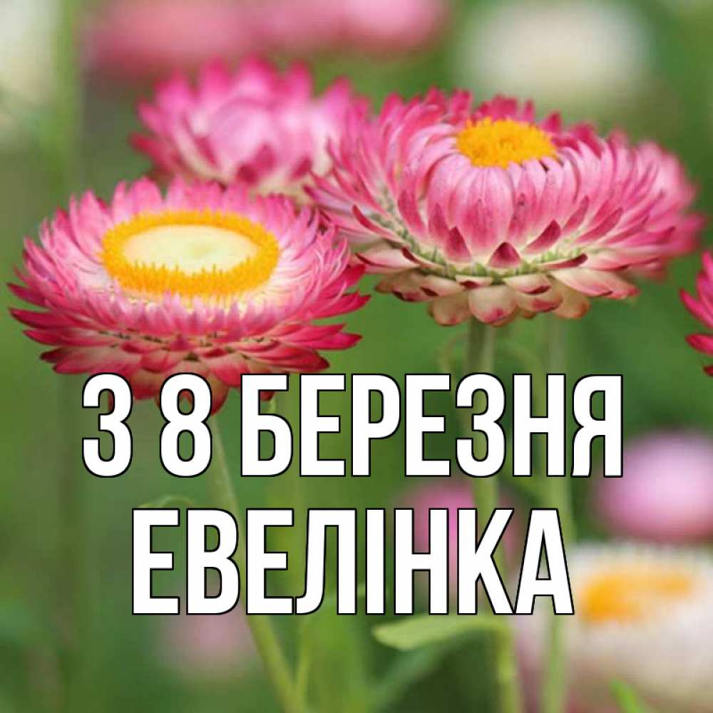 Открытка на каждый день з підписом, Евелінка З 8 БЕРЕЗНЯ подарок на международный женский день Прикольна листівка з побажанням онлайн скачати безкоштовно 