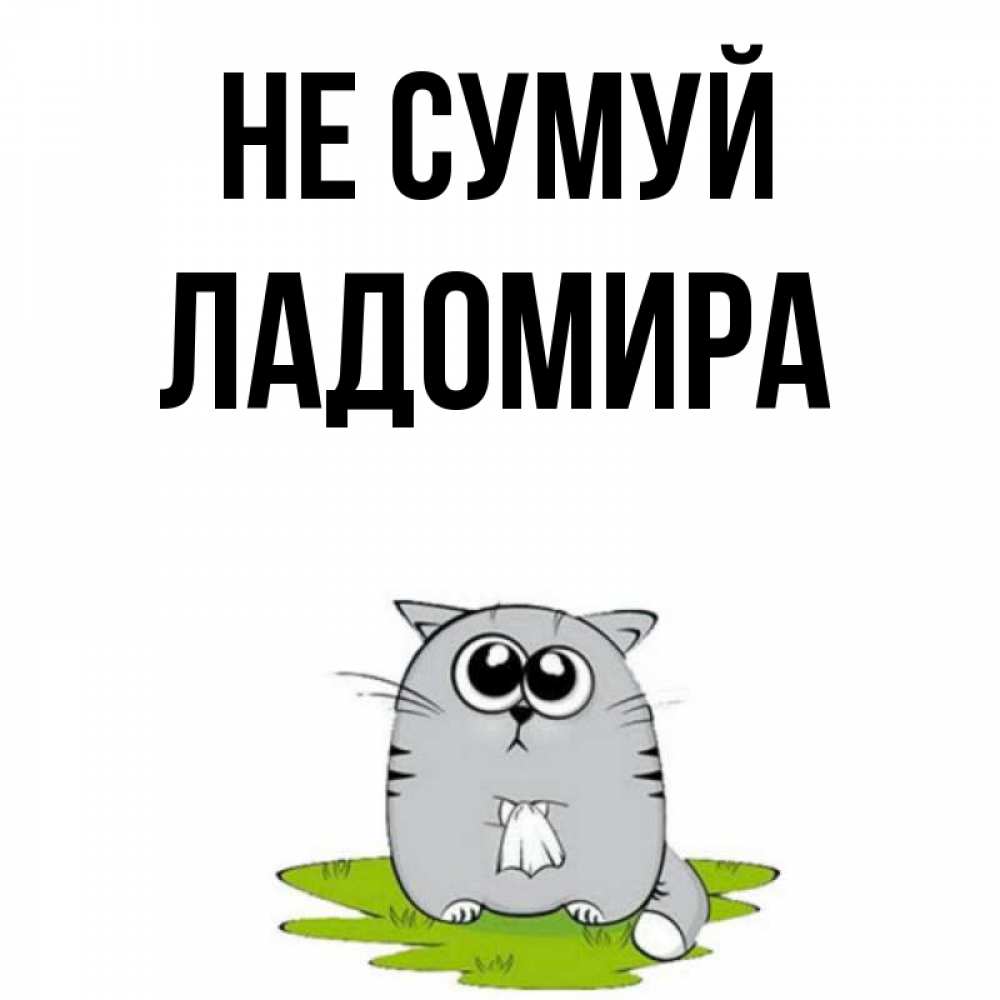 Открытка на каждый день з підписом, Ладомира Не сумуй грустный котяра Прикольна листівка з побажанням онлайн скачати безкоштовно 