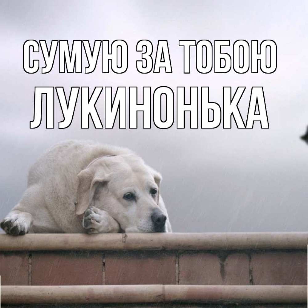 Открытка на каждый день з підписом, Лукинонька Сумую за тобою ждет Прикольна листівка з побажанням онлайн скачати безкоштовно 