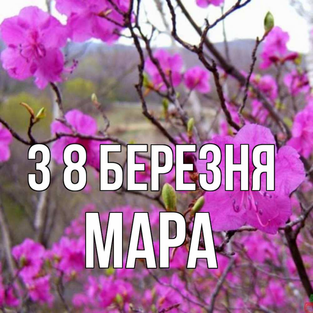Открытка на каждый день з підписом, Мара З 8 БЕРЕЗНЯ международный женский день Прикольна листівка з побажанням онлайн скачати безкоштовно 