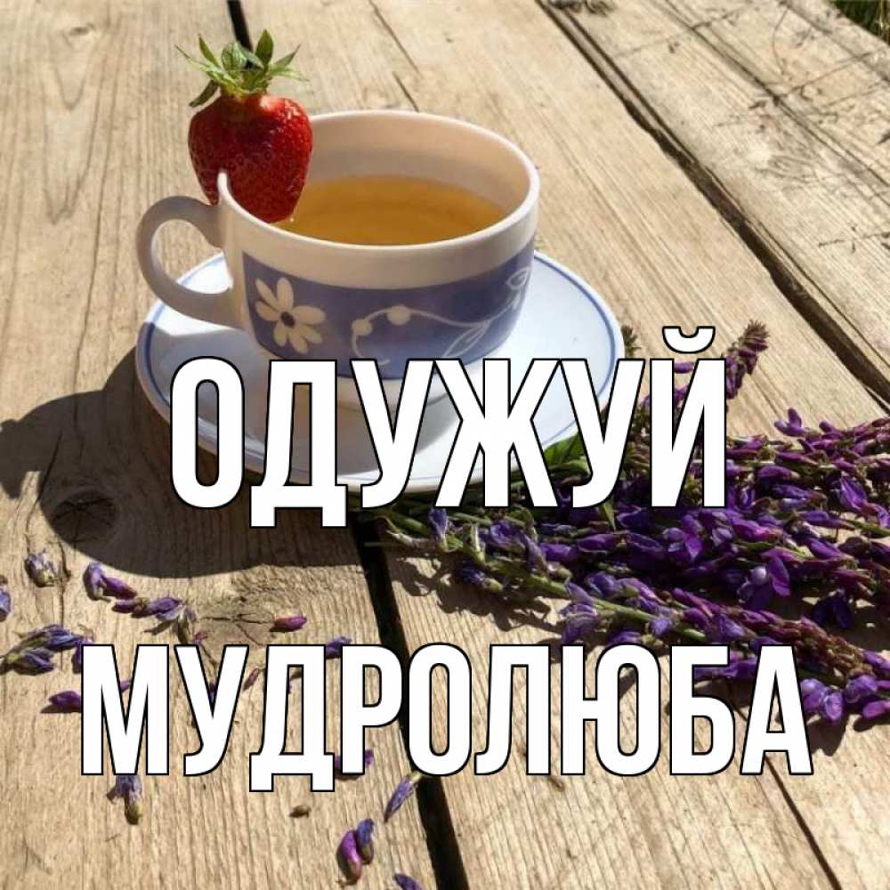 Открытка на каждый день з підписом, Мудролюба Одужуй чай Прикольна листівка з побажанням онлайн скачати безкоштовно 