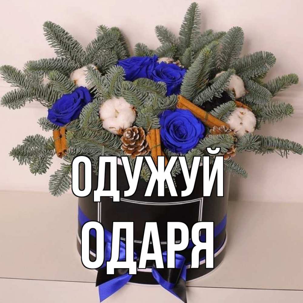 Открытка на каждый день з підписом, Одаря Одужуй короче кто то загрузил эти шишки Прикольна листівка з побажанням онлайн скачати безкоштовно 