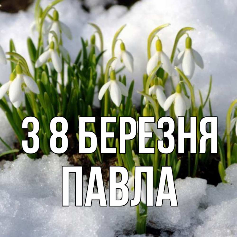 Открытка на каждый день з підписом, Павла З 8 БЕРЕЗНЯ цветы весенние Прикольна листівка з побажанням онлайн скачати безкоштовно 