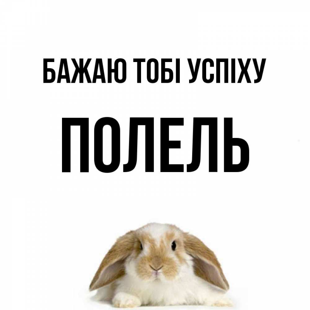 Открытка на каждый день з підписом, Полель Бажаю тобі успіху открытки с произвольным текстом который можно вставить в открытку и создать ее самостоятельно бесплатно онлайн Прикольна листівка з побажанням онлайн скачати безкоштовно 