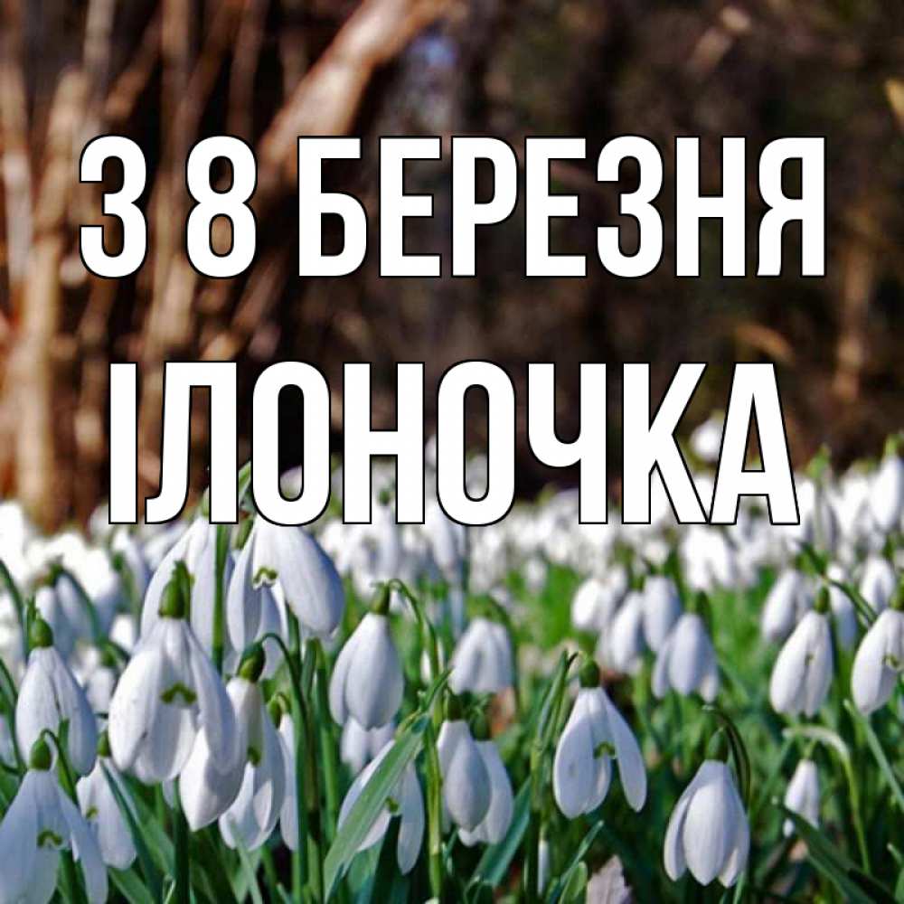 Открытка на каждый день з підписом, Ілоночка З 8 БЕРЕЗНЯ с подснежниками 1 Прикольна листівка з побажанням онлайн скачати безкоштовно 