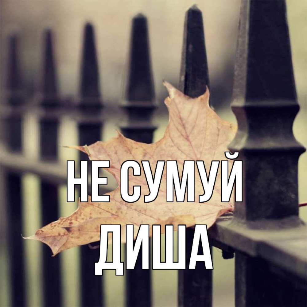 Открытка на каждый день з підписом, Диша Не сумуй лист клена Прикольна листівка з побажанням онлайн скачати безкоштовно 