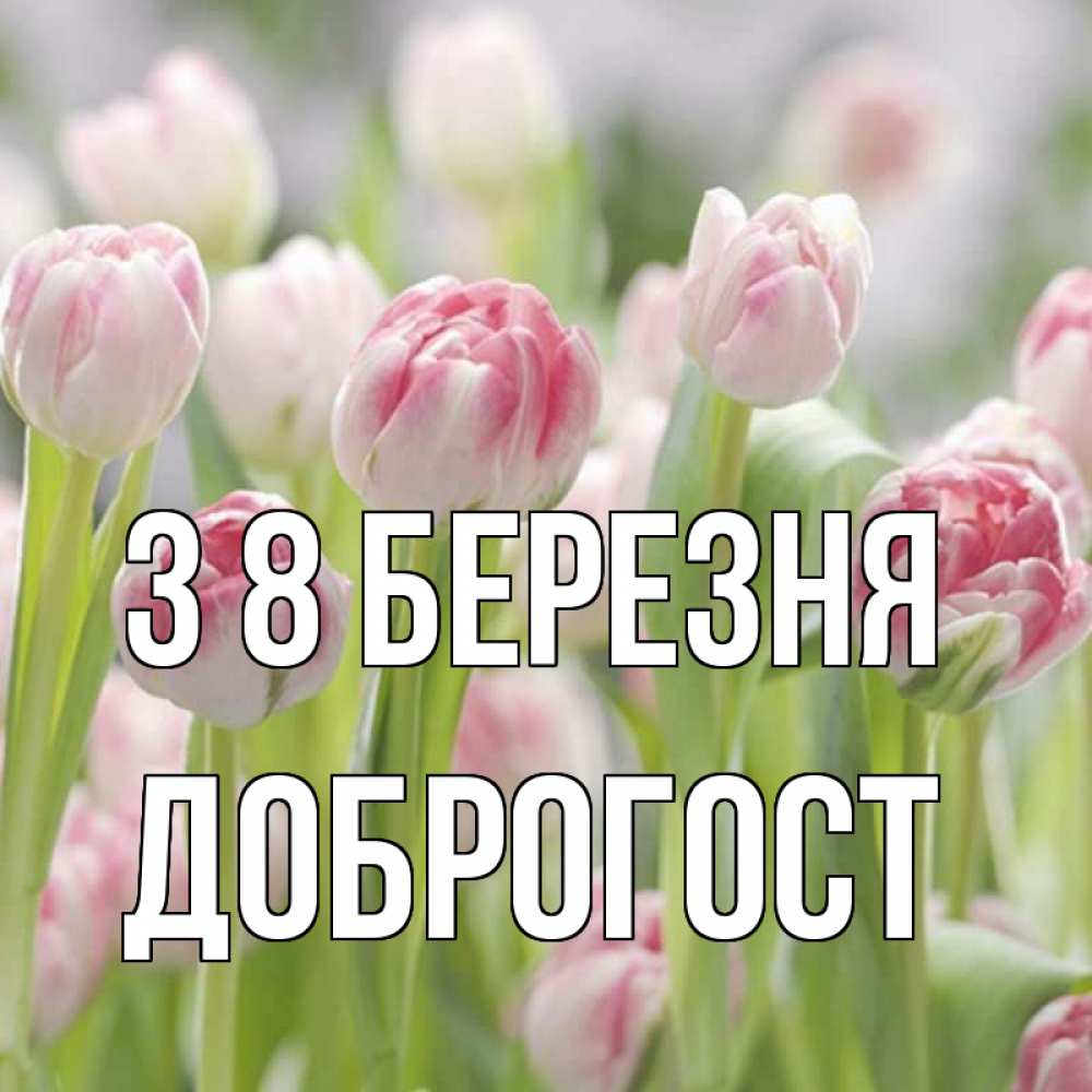 Открытка на каждый день з підписом, Доброгост З 8 БЕРЕЗНЯ цветы Прикольна листівка з побажанням онлайн скачати безкоштовно 