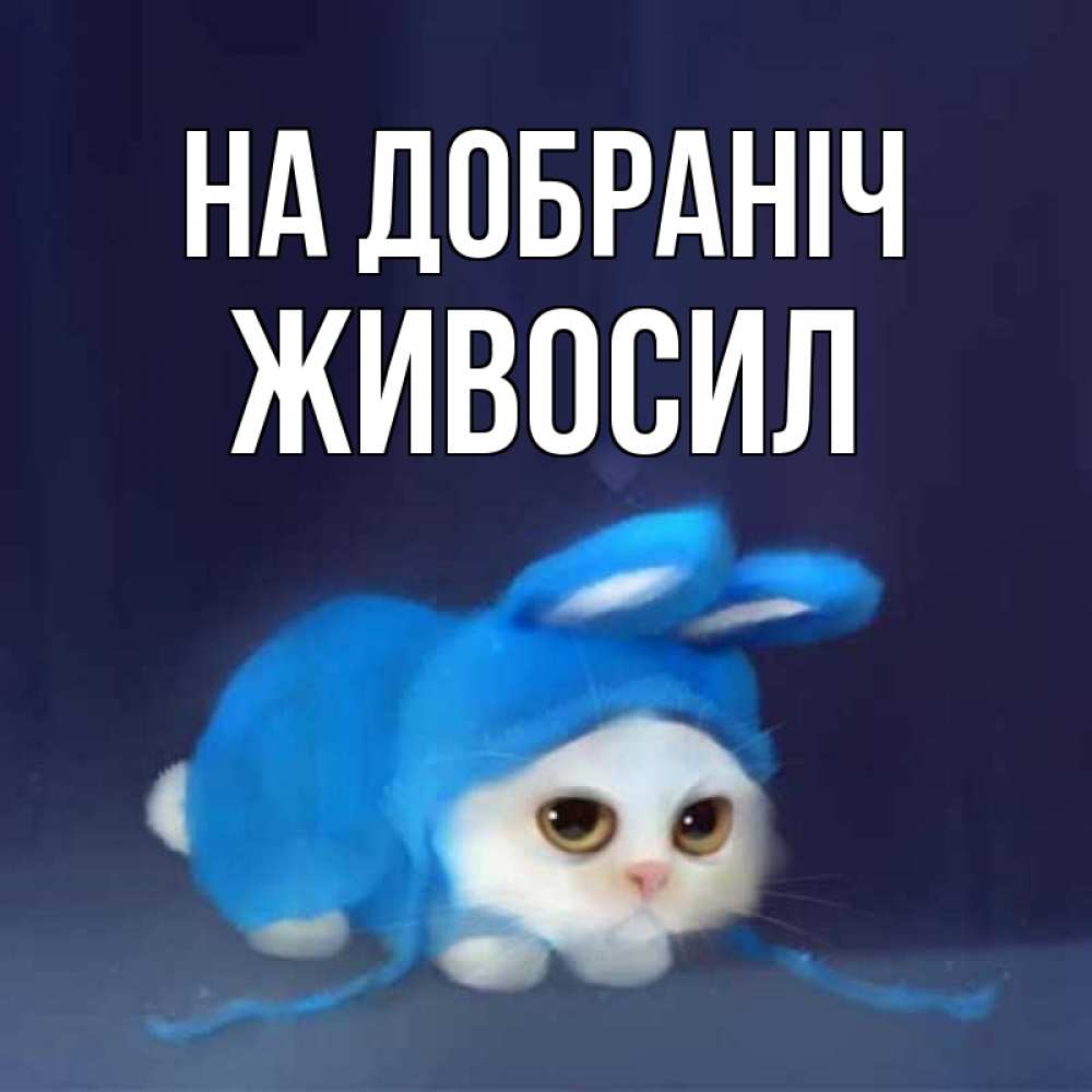 Открытка на каждый день з підписом, Живосил На добраніч кот в голубом костюме кролика с ушками Прикольна листівка з побажанням онлайн скачати безкоштовно 