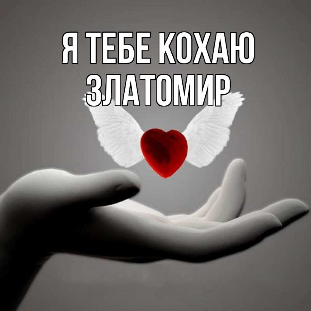 Открытка на каждый день з підписом, Златомир Я тебе кохаю сердце Прикольна листівка з побажанням онлайн скачати безкоштовно 