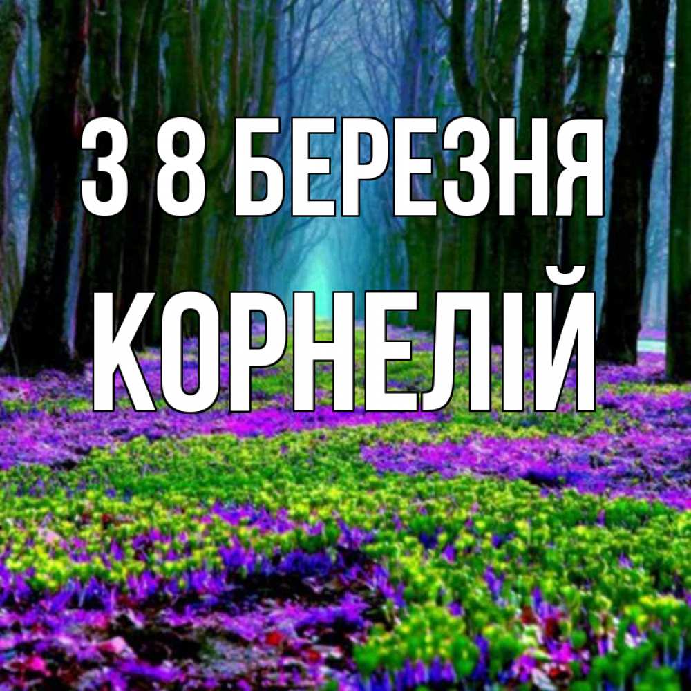 Открытка на каждый день з підписом, Корнелій З 8 БЕРЕЗНЯ фиолетовые цветы в лесу 1 Прикольна листівка з побажанням онлайн скачати безкоштовно 