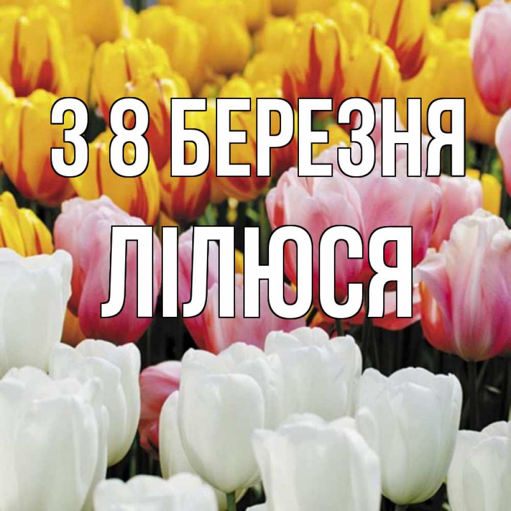 Открытка на каждый день з підписом, Лілюся З 8 БЕРЕЗНЯ разноцветные цветы Прикольна листівка з побажанням онлайн скачати безкоштовно 