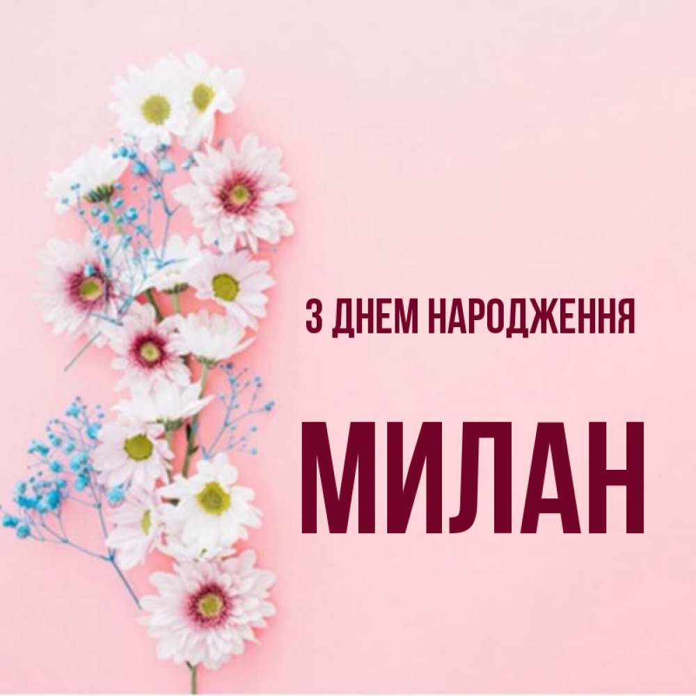 Открытка на каждый день з підписом, Милан З Днем народження Родная моя с днем рождения тебя картинка с цветами белыми и голубыми Прикольна листівка з побажанням онлайн скачати безкоштовно 