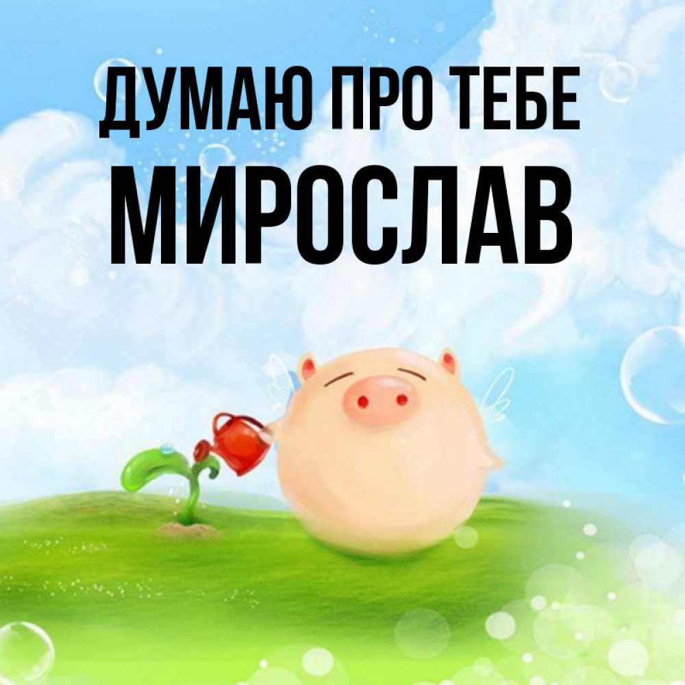 Открытка на каждый день з підписом, Мирослав Думаю про тебе позитивная свинюшка Прикольна листівка з побажанням онлайн скачати безкоштовно 