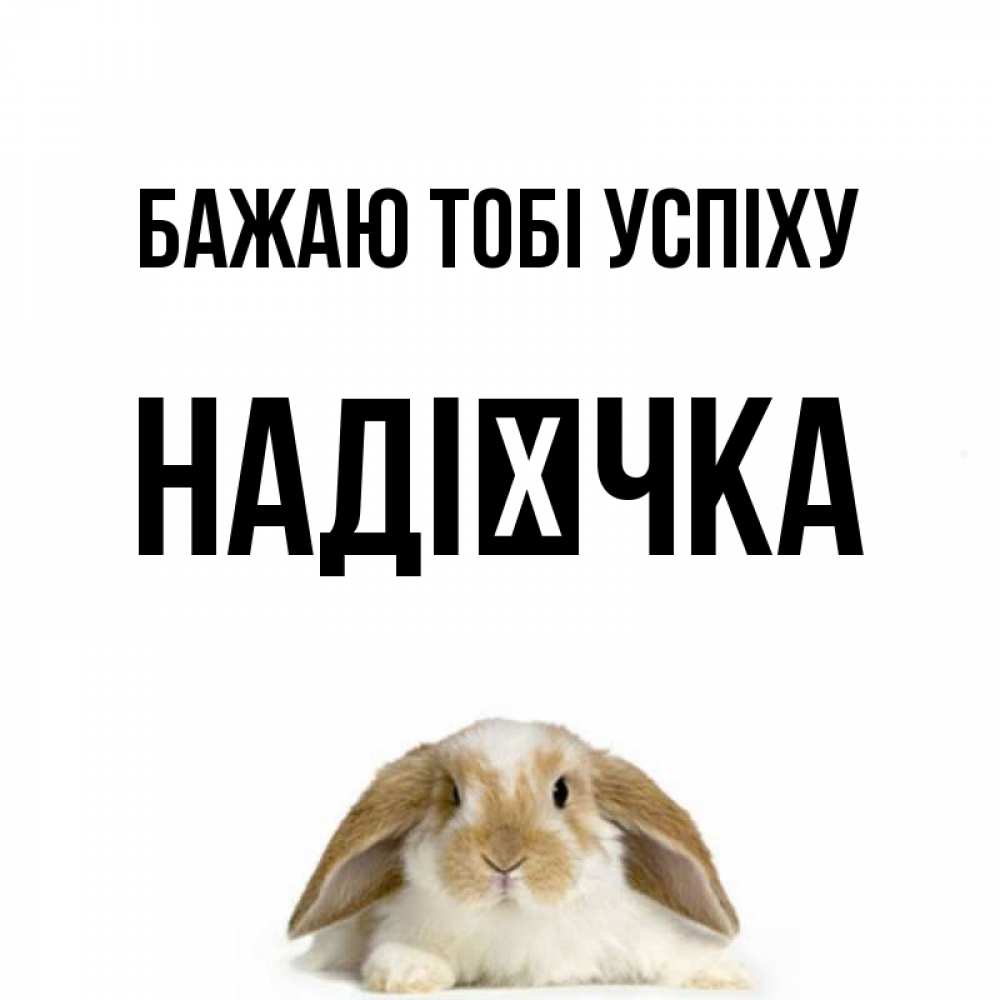 Открытка на каждый день з підписом, Надієчка Бажаю тобі успіху открытки с произвольным текстом который можно вставить в открытку и создать ее самостоятельно бесплатно онлайн Прикольна листівка з побажанням онлайн скачати безкоштовно 