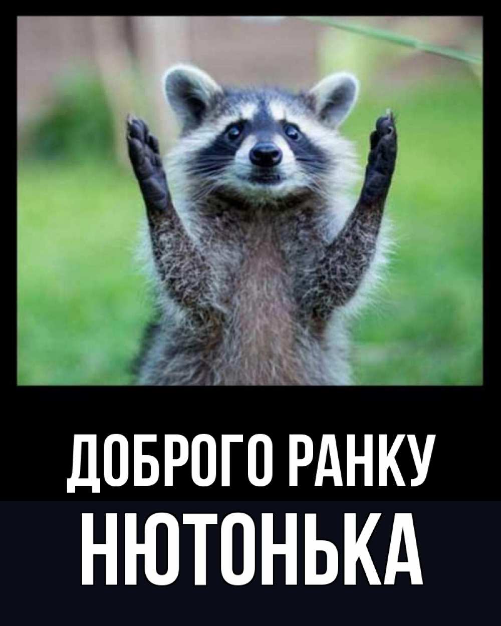 Открытка на каждый день з підписом, Нютонька Доброго ранку хорошее настроение утречком Прикольна листівка з побажанням онлайн скачати безкоштовно 