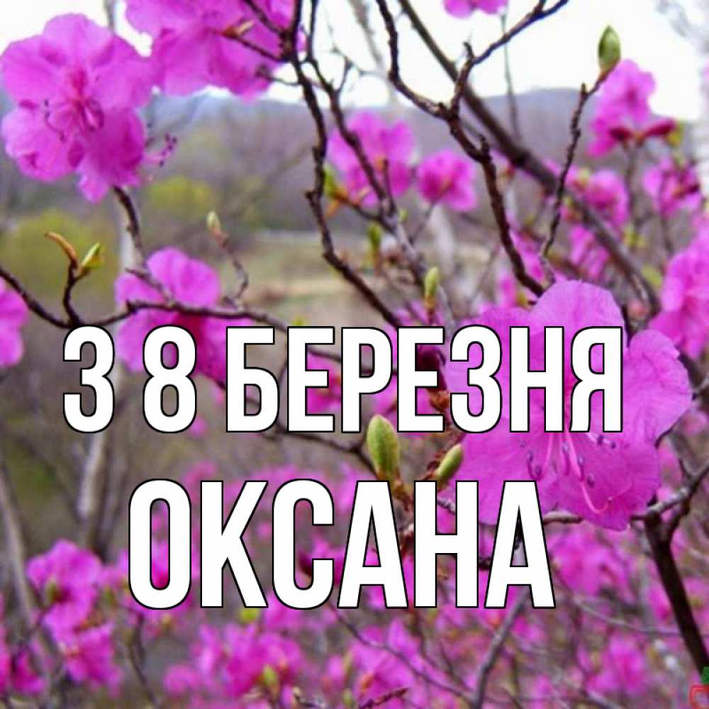 Открытка на каждый день з підписом, Оксана З 8 БЕРЕЗНЯ международный женский день Прикольна листівка з побажанням онлайн скачати безкоштовно 