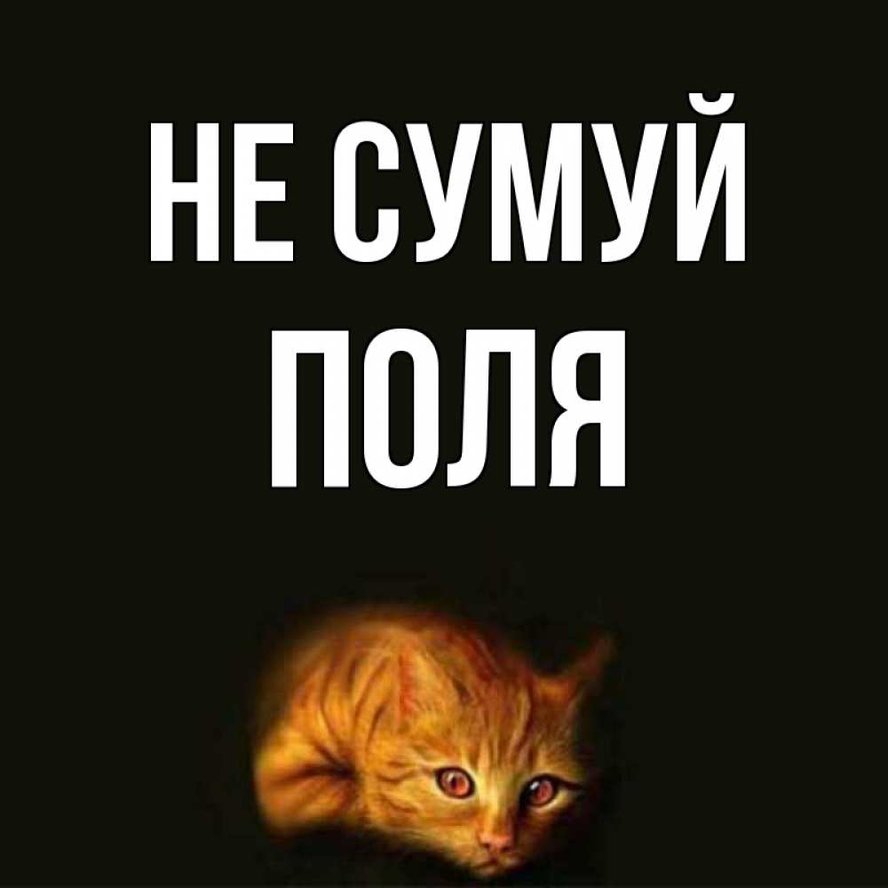 Открытка на каждый день з підписом, Поля Не сумуй лежащий кот в темноте Прикольна листівка з побажанням онлайн скачати безкоштовно 