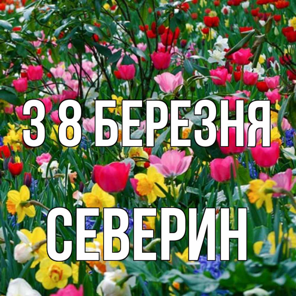Открытка на каждый день з підписом, Северин З 8 БЕРЕЗНЯ с международным женским днем поздравления для женщины Прикольна листівка з побажанням онлайн скачати безкоштовно 
