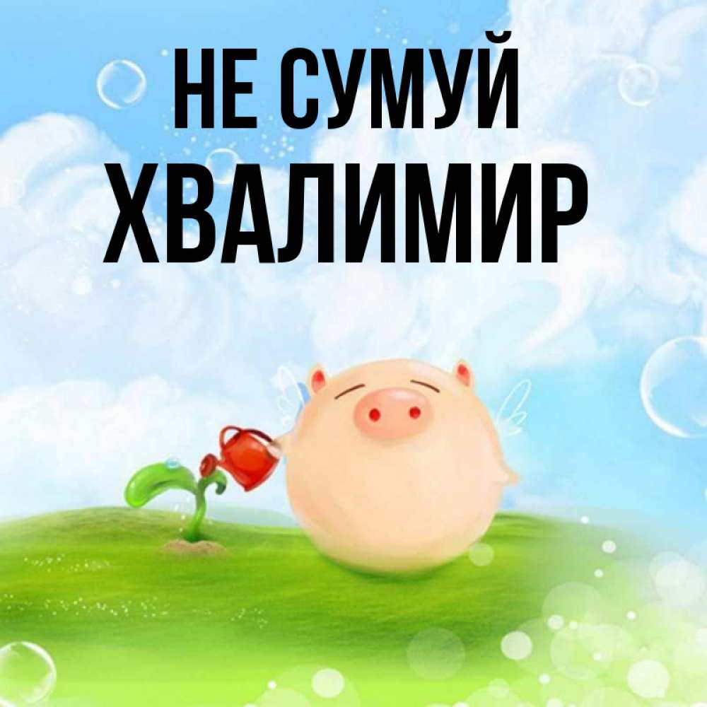 Открытка на каждый день з підписом, Хвалимир Не сумуй поливает цветок порося Прикольна листівка з побажанням онлайн скачати безкоштовно 