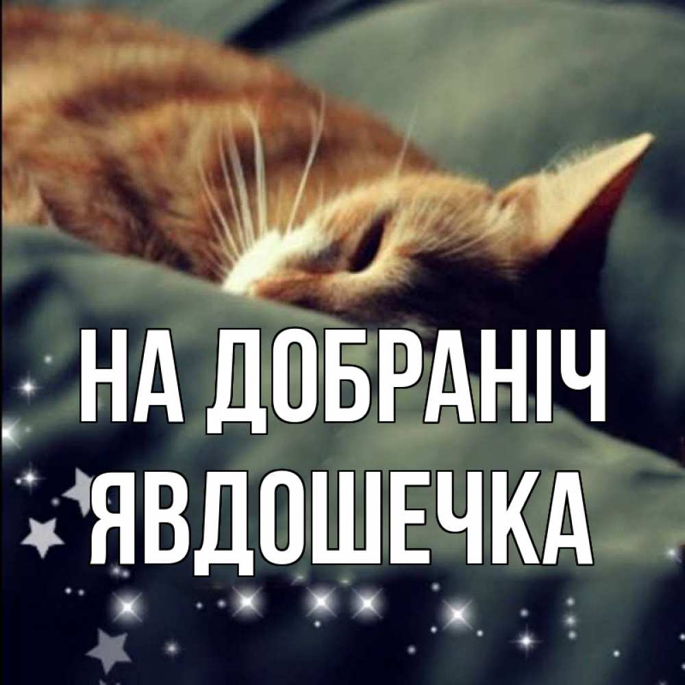 Открытка на каждый день з підписом, Явдошечка На добраніч кроватка Прикольна листівка з побажанням онлайн скачати безкоштовно 